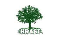 cropped-Hrast_iz-topola-1